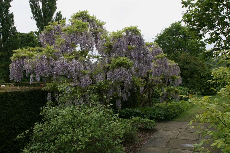 FH_090525_8503.jpg - Sissinghurst Castle Garden