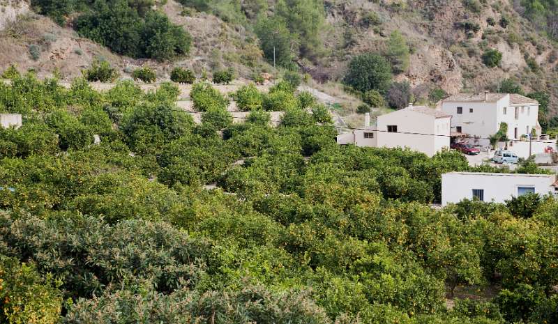 FH_091228_10894.jpg - Vall de Guadalest - Costa Blanca - Spain