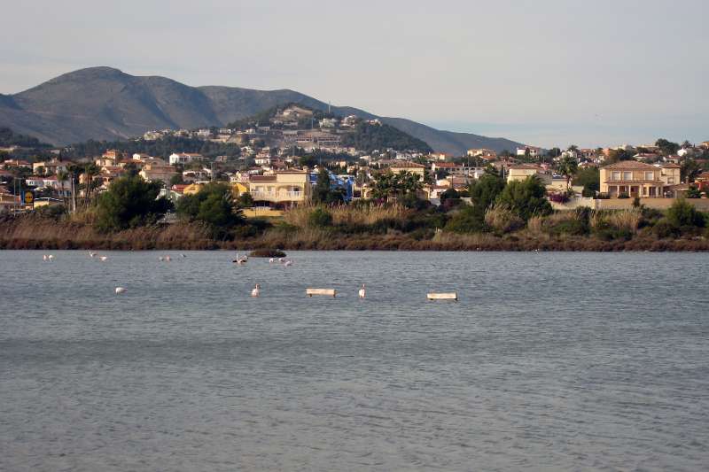 FH_091229_IX0945.jpg - Las Salinas - Calpe - Spain