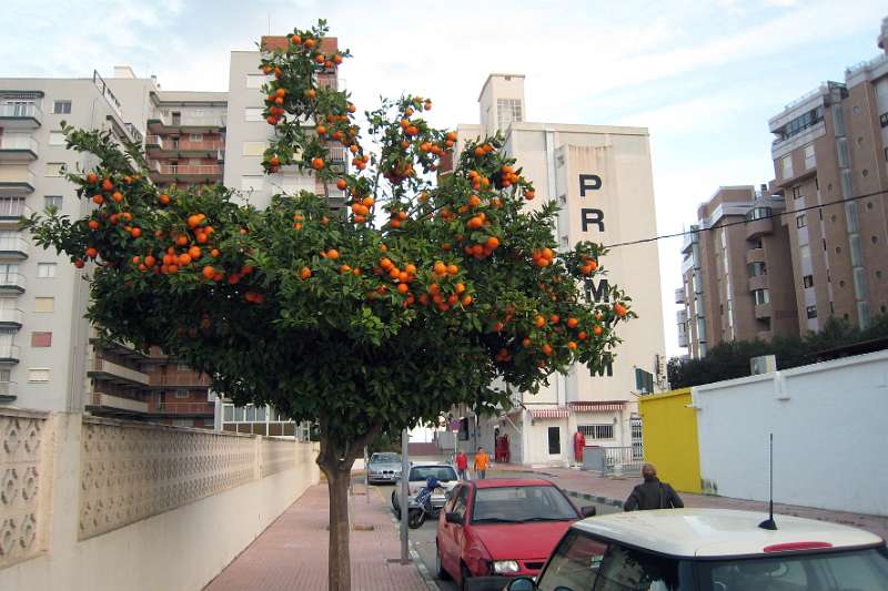 FH_091230_IX0993.jpg - Edificio Primum - App n°8 - Calpe - Spain