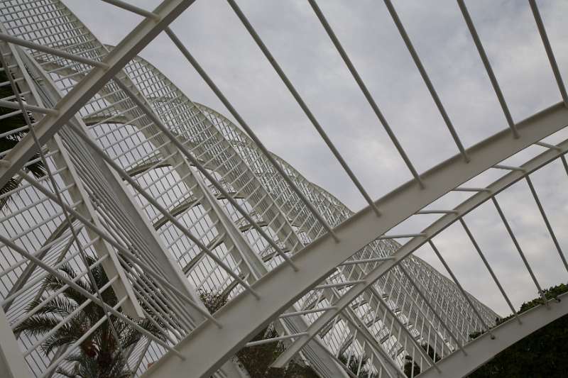 FH_100106_11209.jpg - L' Umbracle - Valencia - Spain