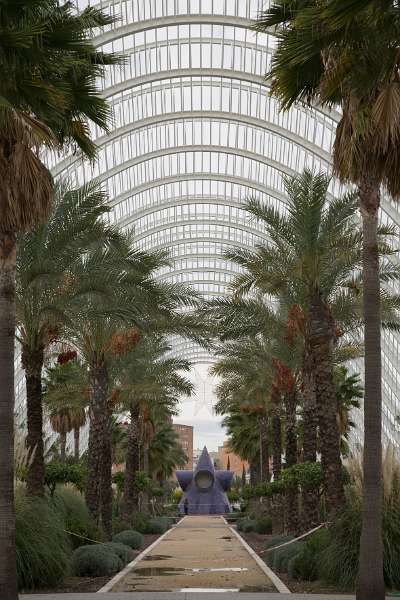 FH_100106_11214.jpg - L' Umbracle - Valencia - Spain