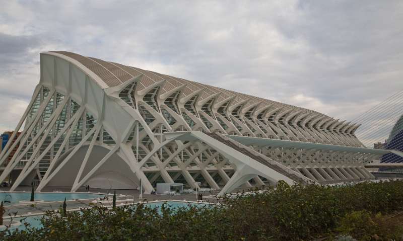 FH_100106_11218.jpg - Museu de les Ciénces Principe Filipe - Valencia - Spain