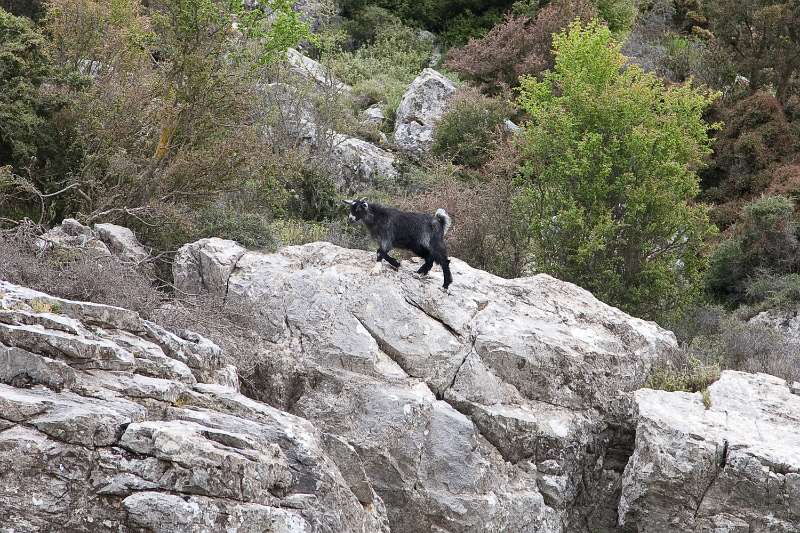 Kreta_1203.JPG - Kreta, de Lassíthi hoogvlakte