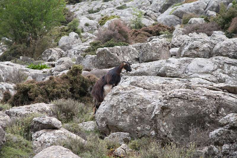 Kreta_1204.JPG - Kreta, de Lassíthi hoogvlakte