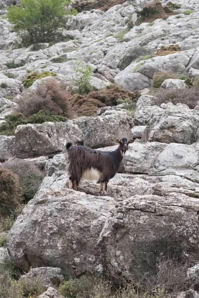 Kreta_1205.JPG - Kreta, de Lassíthi hoogvlakte