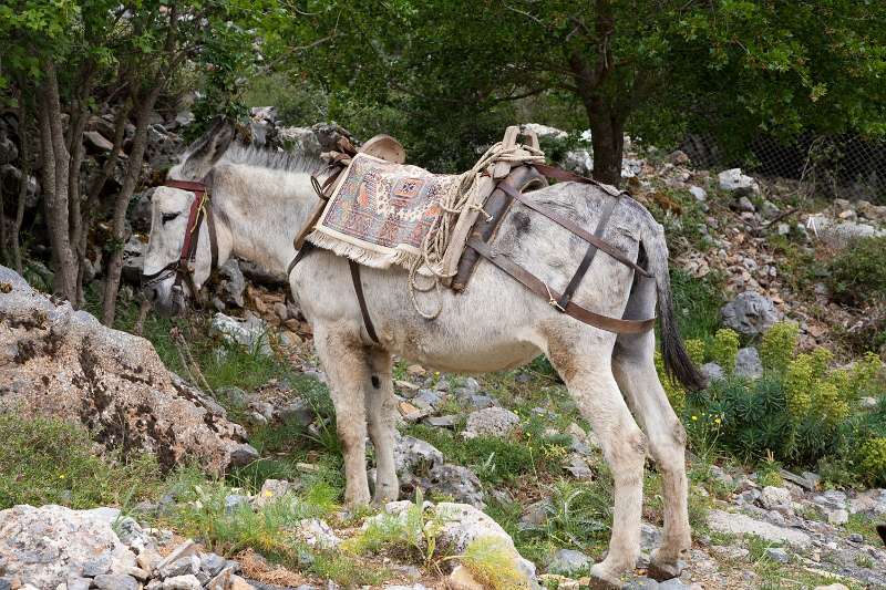 Kreta_1224.JPG - Kreta, de Lassíthi hoogvlakte - Psichró (Díktigrotten)