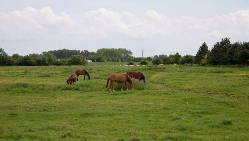 073FH_100607_13728.jpg - Le Chemin de Fer de la Baie de Somme