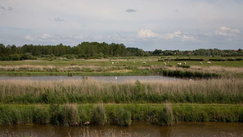 088FH_100607_13768.jpg - Le Chemin de Fer de la Baie de Somme