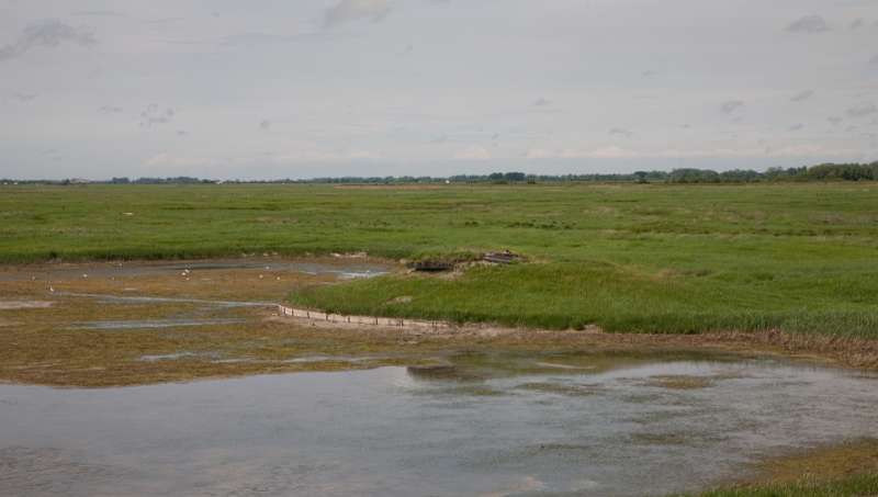 089FH_100607_13771.jpg - Le Chemin de Fer de la Baie de Somme