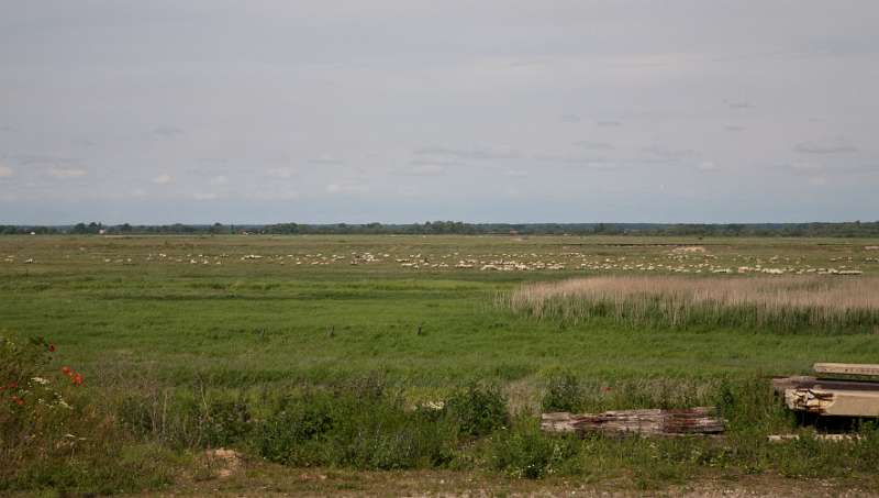 090FH_100607_13780.jpg - Le Chemin de Fer de la Baie de Somme