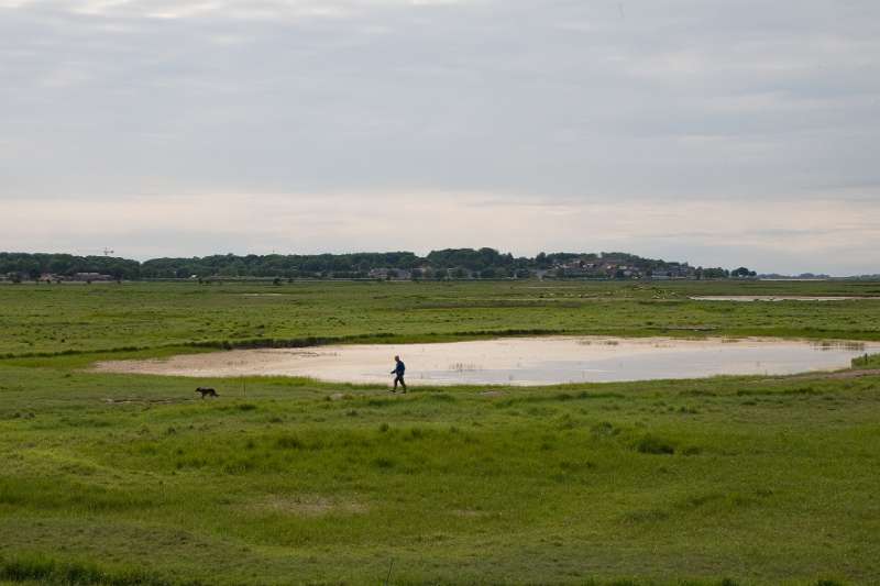 096FH_100607_13799.jpg - Le Chemin de Fer de la Baie de Somme