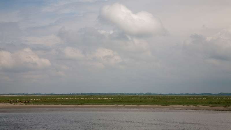 152FH_100609_13880.jpg - Baie de Somme - Saint-Valery-sur-Somme