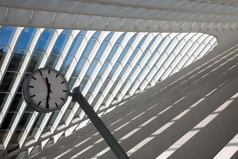 FH_110324_16128.jpg - Luik - Station Guillemins - Architect Santiago Calatrava