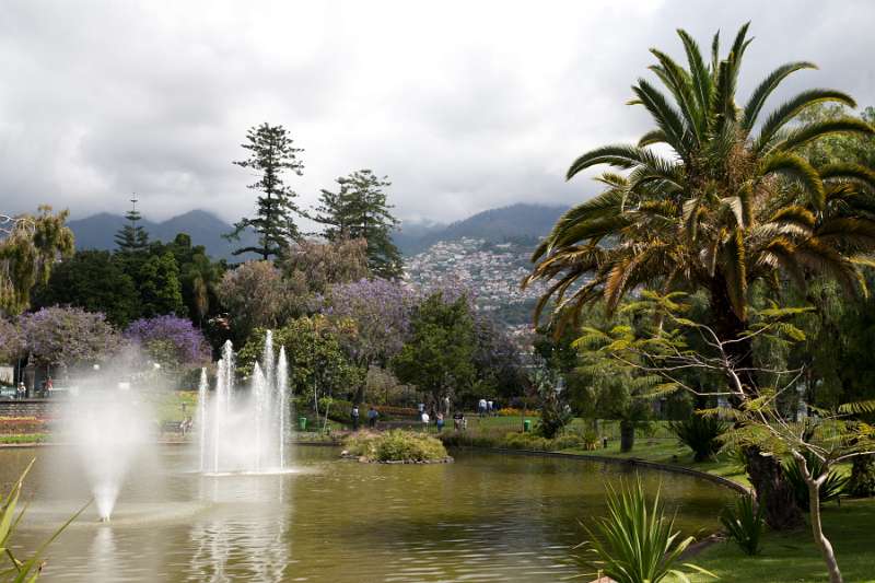 Madeira_014.JPG - Madeira - Funchal - Parque de Santa Catarina