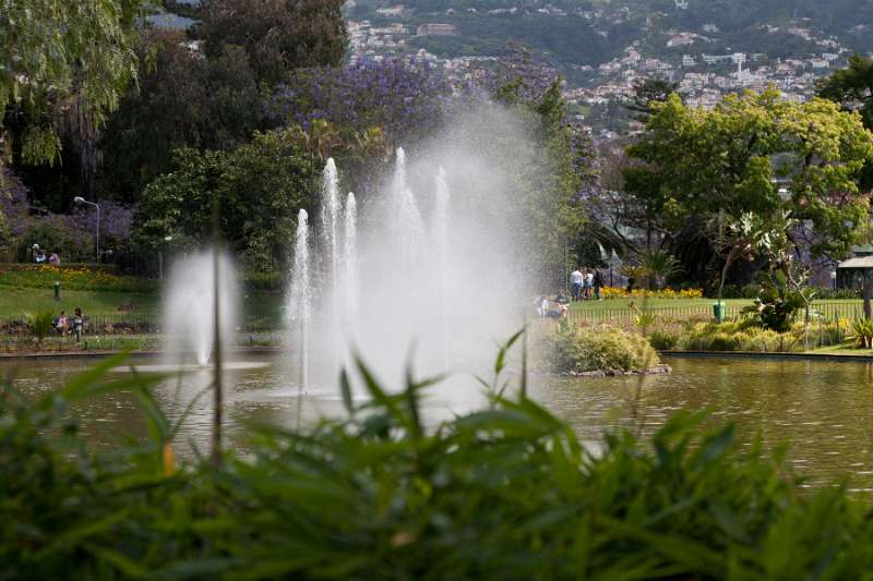 Madeira_015.JPG - Madeira - Funchal - Parque de Santa Catarina