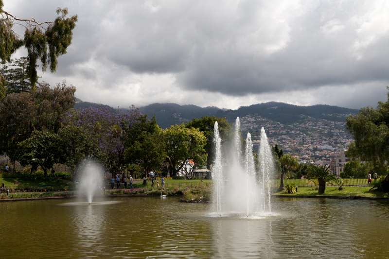 Madeira_017.JPG - Madeira - Funchal - Parque de Santa Catarina