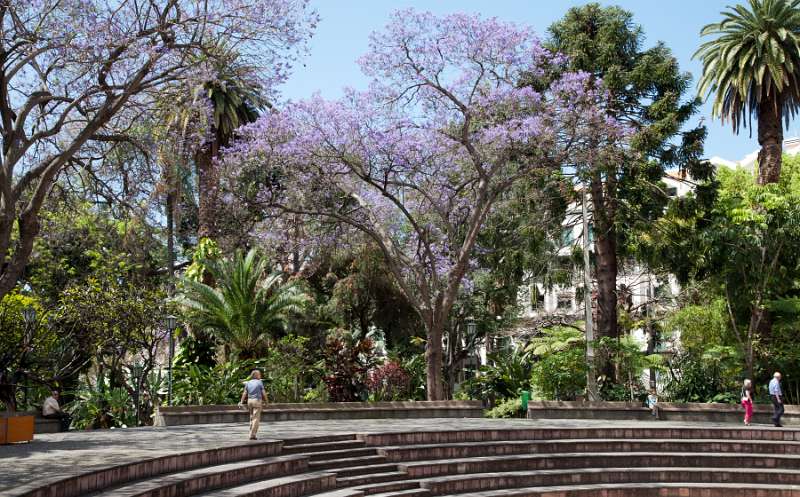 Madeira_029.JPG - Madeira - Funchal - Jardim Municipal