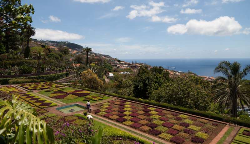 Madeira_240.JPG