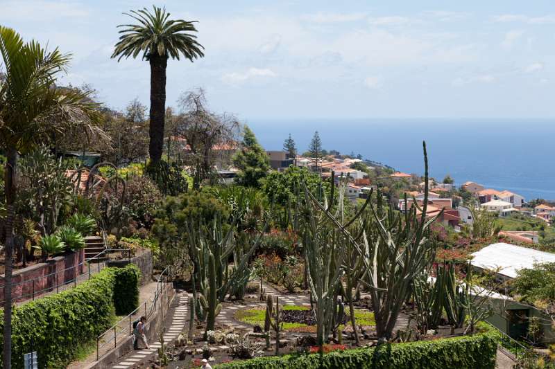 Madeira_243.JPG