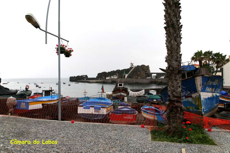 Madeira_415.JPG - Madeira - Câmara do Lobos