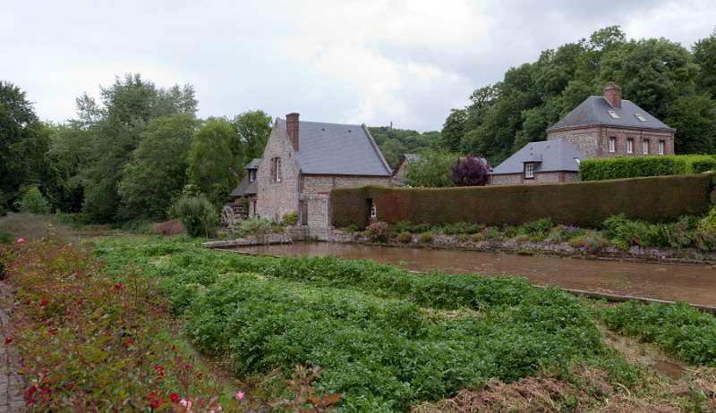 Veules_063.JPG - Veules-les-Roses, Côte d' Albâtre, France - culture de cresson