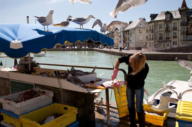 Veules_111.JPG - Saint-Valéry-en-Caux, Côte d'Albâtre, France