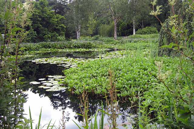 FH_VV_IX_0593(kalmthout).jpg - Arboretum Kalmthout